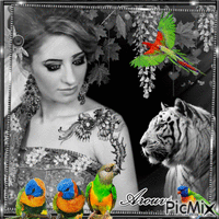 Girl with Tiger & Parrots - GIF animé gratuit