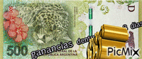ganas pesos - Free animated GIF