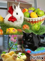 easter kitty animeret GIF