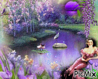 Purple Paradise - GIF animé gratuit
