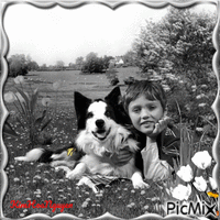 Cậu bé và chú chó  Border Collie - Ingyenes animált GIF