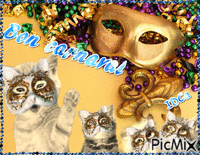 Carnaval  des chats animēts GIF