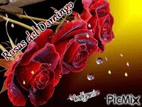 Rosas del Domingo 26 - Gratis animerad GIF