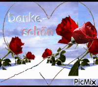 Dankeschön - Zdarma animovaný GIF
