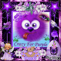 Crazy For Purple - Δωρεάν κινούμενο GIF