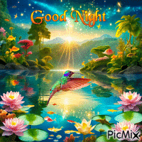 Good Night Hummingbird and Lotus Pond GIF animé