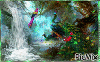 Hidden Paradise - 無料のアニメーション GIF