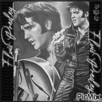 Elvis Presley... 🤍🖤🤍