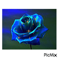 niebieska róża - GIF animate gratis
