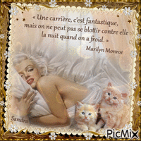 Marilyne Monroe ! - Бесплатный анимированный гифка