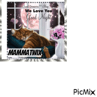 a goodnight cat - GIF animé gratuit