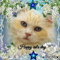 Happy cat's day - GIF animé gratuit
