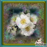 Blumen - flowers - GIF animé gratuit