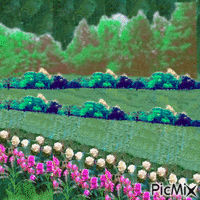 Paesaggio per ambientazione Animated GIF