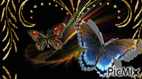 Beautiful Butterflies... - 免费动画 GIF