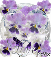 purple pansys a big diamond and love. - Бесплатный анимированный гифка