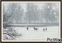 Horses in Snow - Nemokamas animacinis gif
