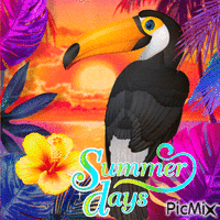 Summer Days GIF animasi