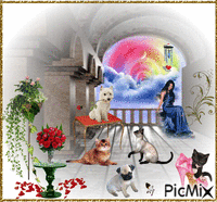 Dog and cats 动画 GIF