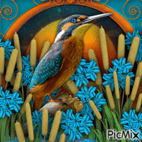 Multicolored Bird-06-03-23 - Бесплатный анимированный гифка