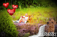 i LOVE irish terriers - Δωρεάν κινούμενο GIF