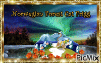 Norwegian Forest Cat Frigg - GIF เคลื่อนไหวฟรี