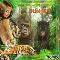 Concours : Jungle - Gratis animeret GIF