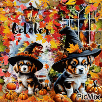 chien d'automne Animated GIF