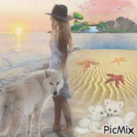 un loup blanc sur la plage GIF animé