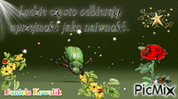 cytaty - Bezmaksas animēts GIF