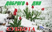 СУББОТА - Bezmaksas animēts GIF