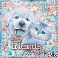 Cute Dog and cat Portrait 动画 GIF
