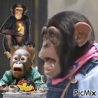 Majmok - GIF animé gratuit