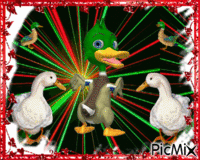 Disco! Disco Duck! La Danse des Canards Animiertes GIF