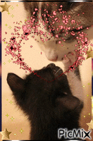 Bisous de chats - Free animated GIF