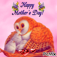 mothers day owl 动画 GIF