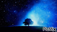 night - GIF animé gratuit