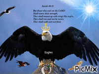 Eagles & dove Animated GIF