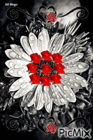 Çiçek Gif (14) GIF animé