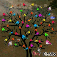 Drzewko ptaszkowe - Bezmaksas animēts GIF