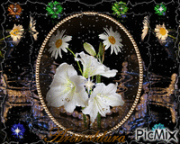 brilho das  flores 2 动画 GIF
