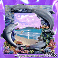 Dolphin Beauty - Gratis animerad GIF