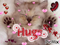 hugs 动画 GIF