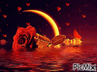 trandafir - Zdarma animovaný GIF
