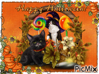 Carte Halloween GIF animata