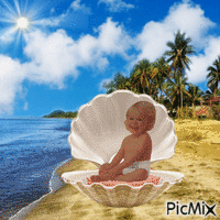 Baby in shell animēts GIF