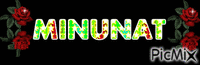 MINUNAT - Zdarma animovaný GIF