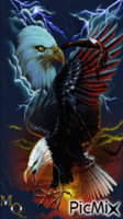 Eagles in the storm - GIF animate gratis