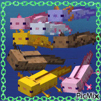 Minecraft Axolotl GIF animé