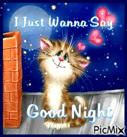 cat goodnight - Бесплатный анимированный гифка